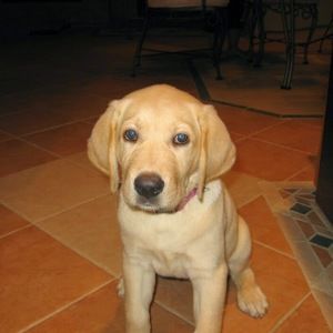 Meet your Posher, Richard